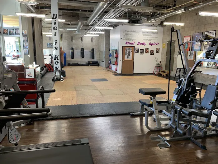 PANTHER Martial Arts in peron & virtual Picture 1