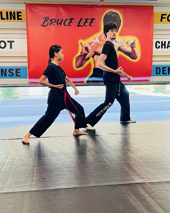 PANTHER Martial Arts in peron & virtual Picture 7