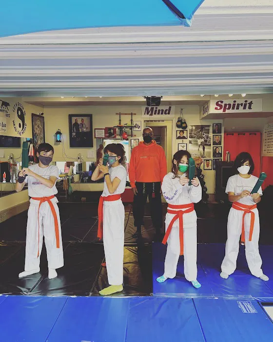 PANTHER Martial Arts in peron & virtual Picture 3