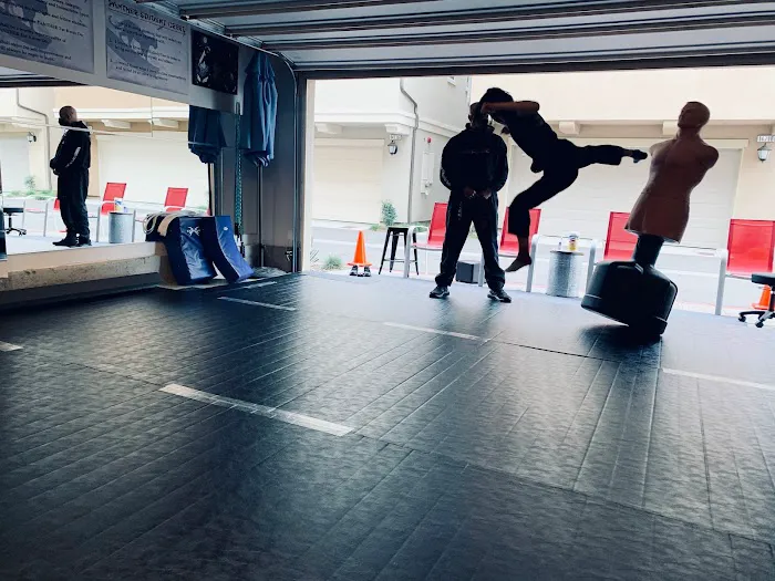 PANTHER Martial Arts in peron & virtual Picture 5