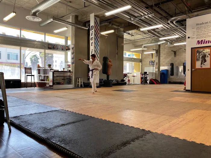 PANTHER Martial Arts in peron & virtual Picture 4