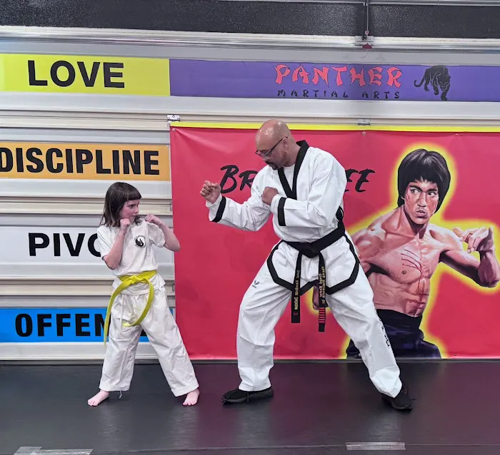 PANTHER Martial Arts in peron & virtual Picture 9