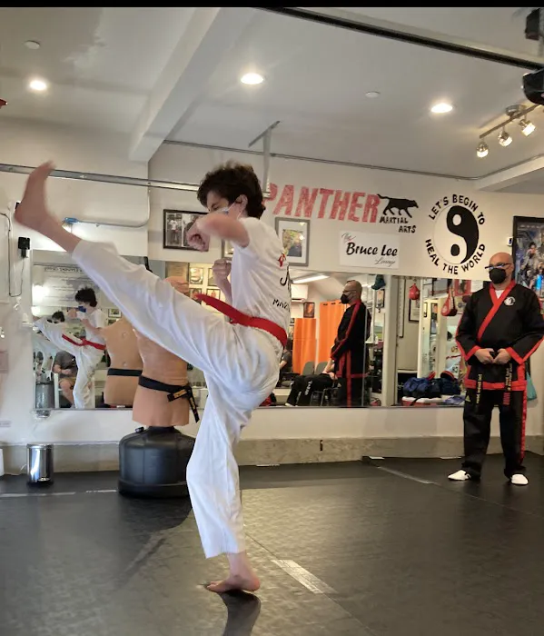PANTHER Martial Arts in peron & virtual Picture 10