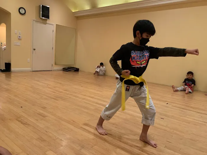 Samurai Karate For Kids Picture 1