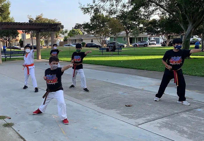 Samurai Karate For Kids Picture 7