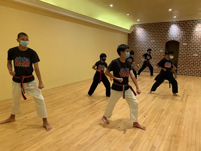 Samurai Karate For Kids Picture 8