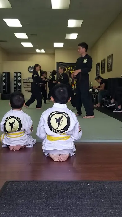Ancient Ways Karate Picture 1