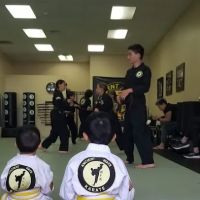 Ancient Ways Karate ico