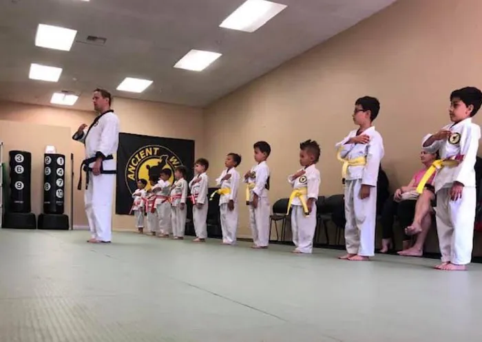 Ancient Ways Karate Picture 9
