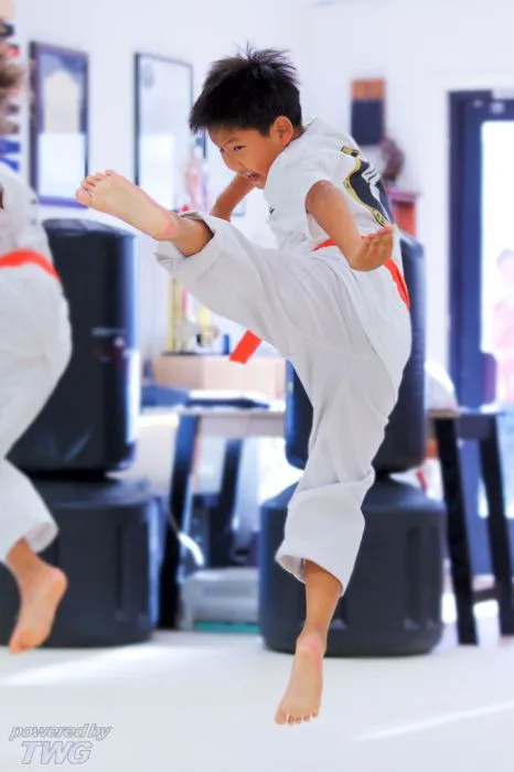 Tony Yoo's LA Tae Kwon Do Center Picture 2