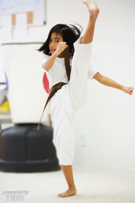 Tony Yoo's LA Tae Kwon Do Center Picture 4