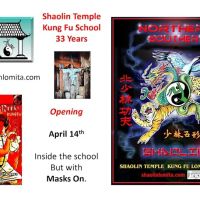 Shaolin Temple Kung Fu School ico