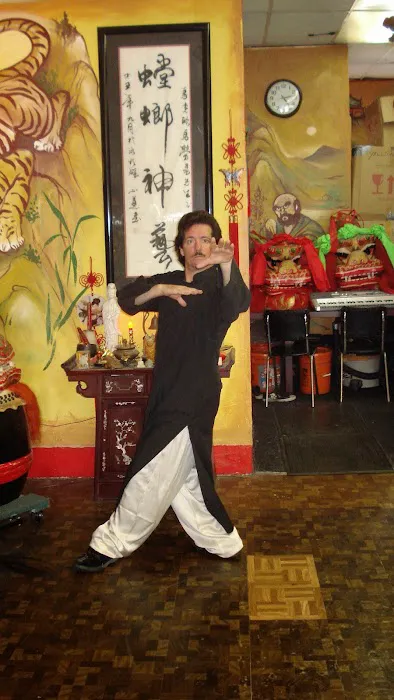 Shaolin Temple Kung Fu School Picture 7