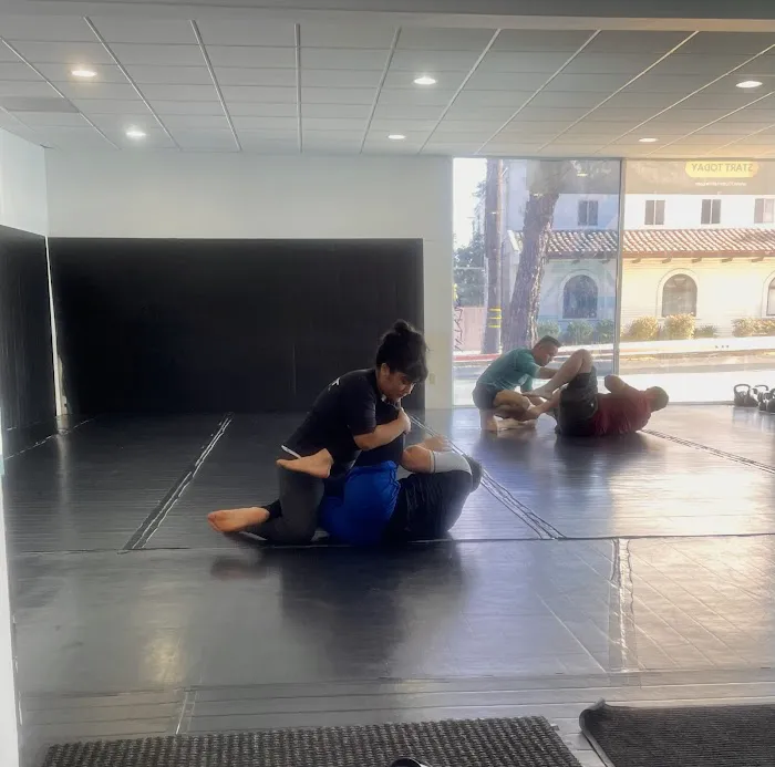 10th Planet Jiu Jitsu: Torrance Picture 1