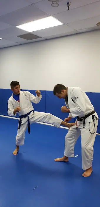 Palos Verdes Jiu-Jitsu by Caique - Gracie Brazilian Jiu Jitsu Picture 2