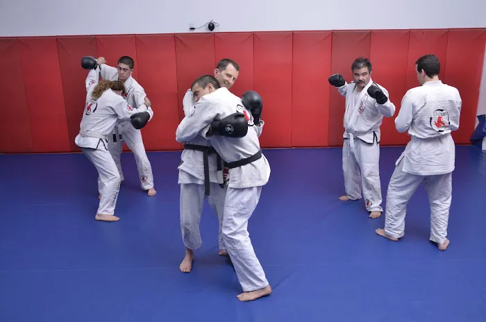 Palos Verdes Jiu-Jitsu by Caique - Gracie Brazilian Jiu Jitsu Picture 5