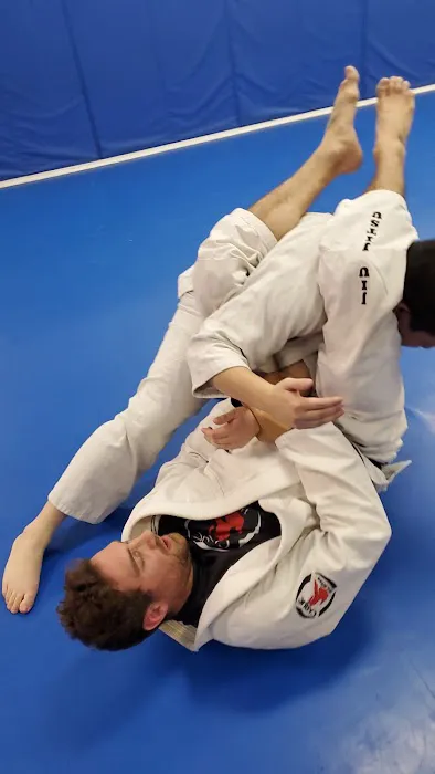 Palos Verdes Jiu-Jitsu by Caique - Gracie Brazilian Jiu Jitsu Picture 7