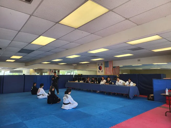 Rolling Hills Tae Kwon Do - Masters United Picture 5
