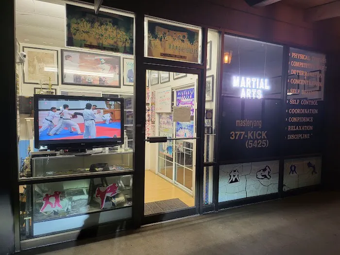 Rolling Hills Tae Kwon Do - Masters United Picture 10