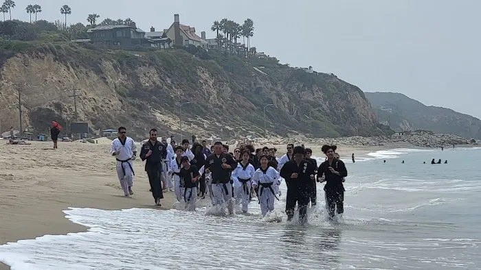 Rolling Hills Tae Kwon Do - Masters United Picture 6