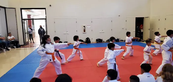 Z.B.K. Karate Team Picture 2