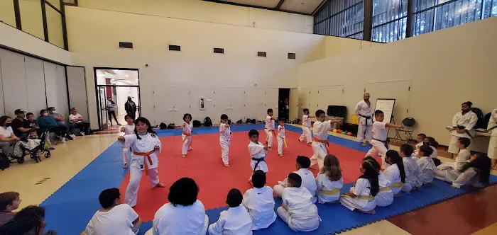 Z.B.K. Karate Team Picture 4