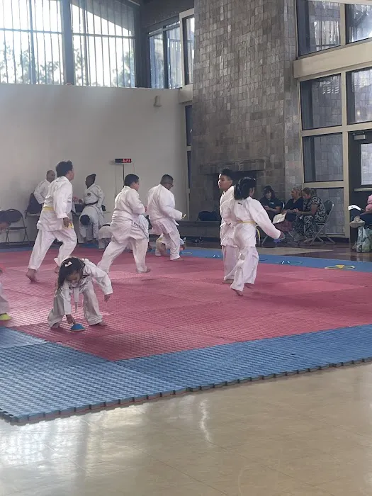 Z.B.K. Karate Team Picture 5