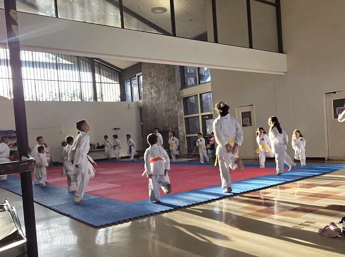 Z.B.K. Karate Team Picture 8