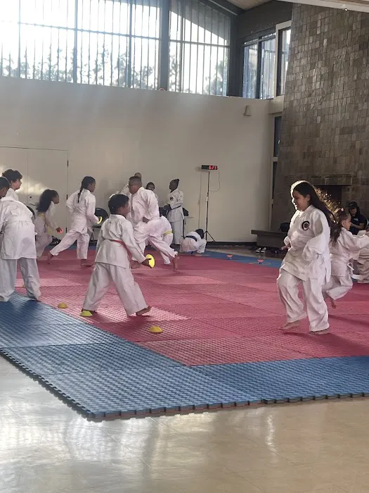 Z.B.K. Karate Team Picture 6