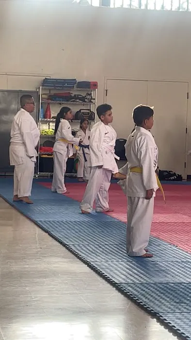 Z.B.K. Karate Team Picture 7