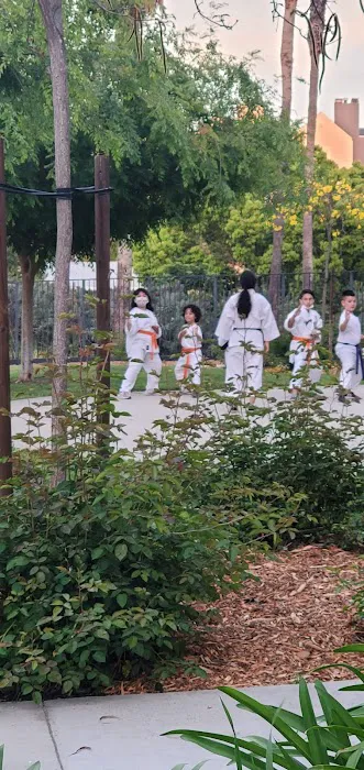 Z.B.K. Karate Team Picture 3