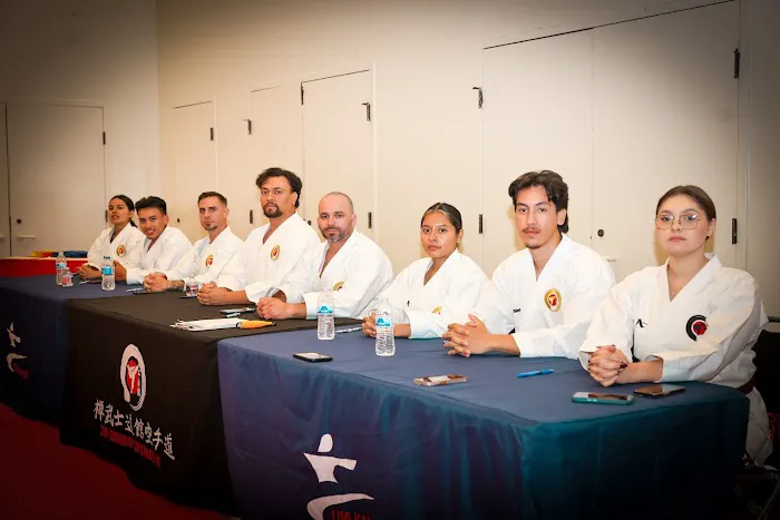 Z.B.K. Karate Team Picture 9