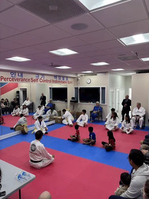 Korean Martial Arts studio Picture 6