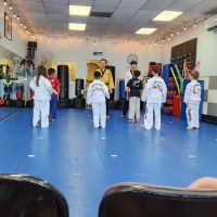 Five Star Taekwondo ico