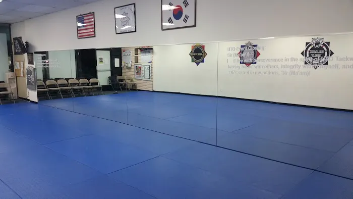 Five Star Taekwondo Picture 3