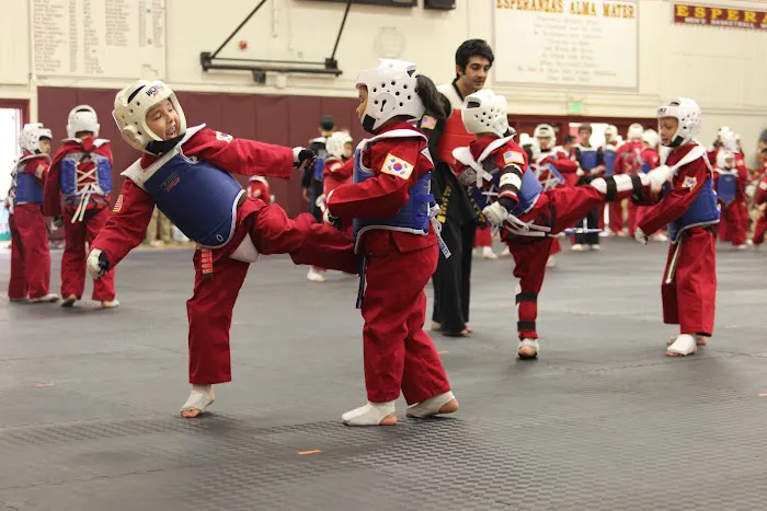 World Martial Arts Center Picture 5