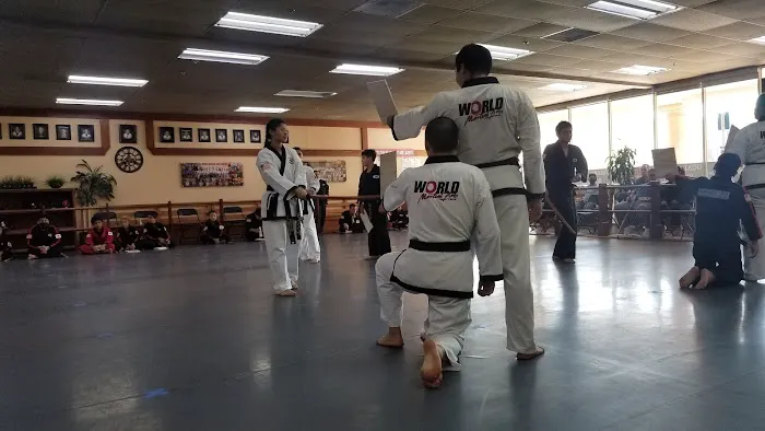 World Martial Arts Center Picture 3