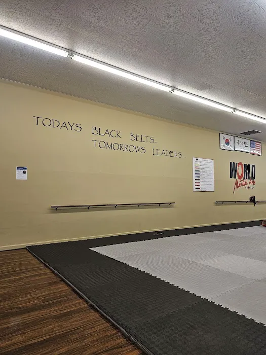 World Martial Arts Center Picture 7