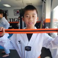American Tigers Taekwondo, Inc. ico