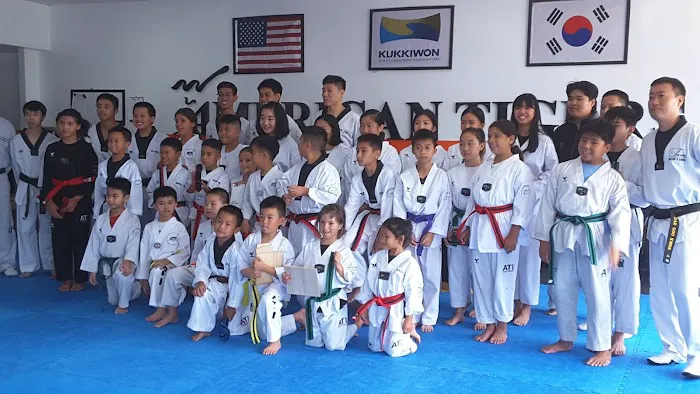 American Tigers Taekwondo, Inc. Picture 3