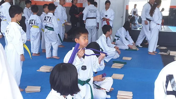 American Tigers Taekwondo, Inc. Picture 2
