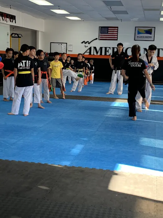 American Tigers Taekwondo, Inc. Picture 5