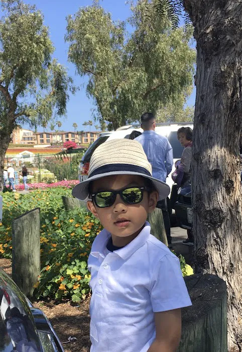 American Tigers Taekwondo, Inc. Picture 4