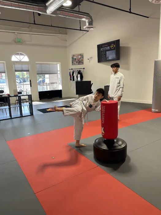 Team Kwon Taekwondo Center - Anaheim Hills Picture 1