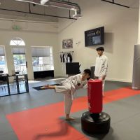 Team Kwon Taekwondo Center - Anaheim Hills ico