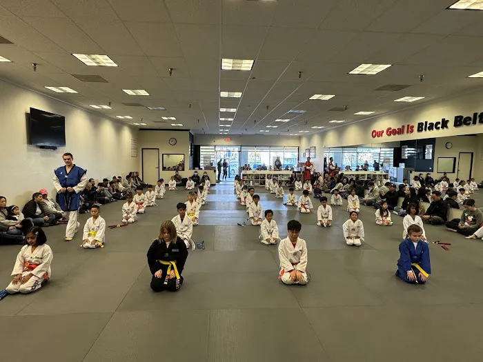 Team Kwon Taekwondo Center - Anaheim Hills Picture 2