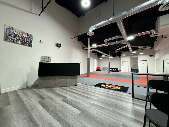 Team Kwon Taekwondo Center - Anaheim Hills Picture 4