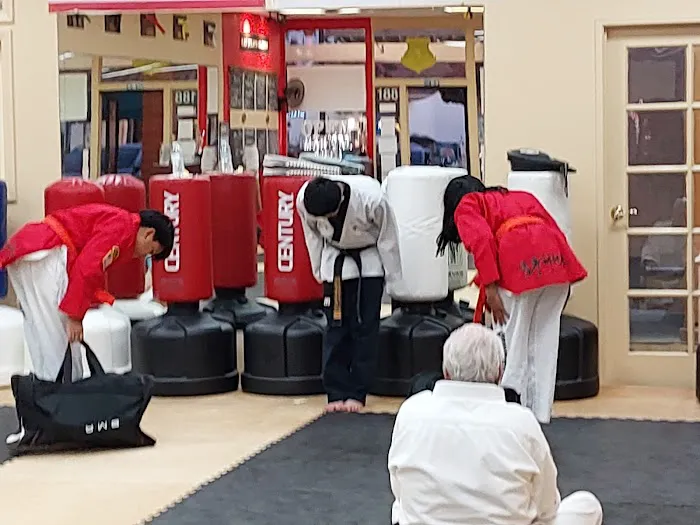 Scholar Athlete Tae Kwon DO Picture 4