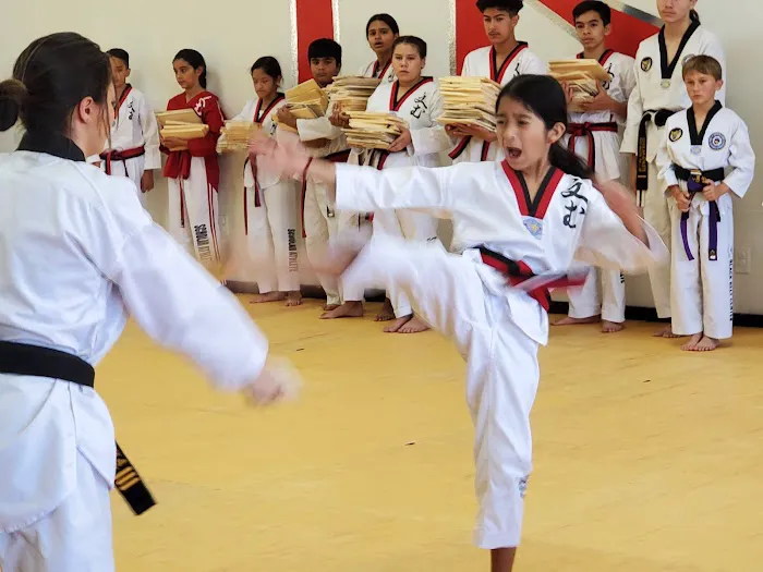 Scholar Athlete Tae Kwon DO Picture 9