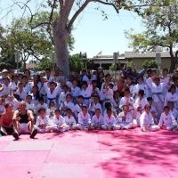 Elite Tae Kwon Do ico